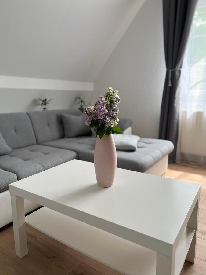 הוירסוורדה Ferienwohnung Zum Scheibe-See מראה חיצוני תמונה